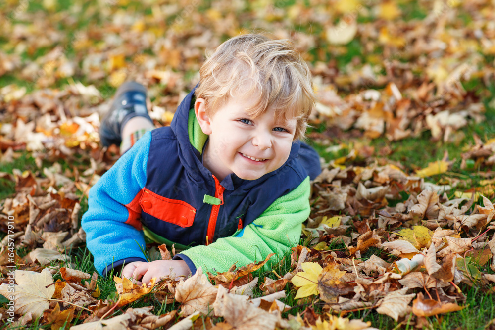 Cute little boy playing with maple leaves outdoors. Happy child walking in autumn park. Toddler baby boy wears trendy jacket . smiling Blonde boy portrait. Autumn fashion. Stylish child outside. Cute little boy playing with maple leaves outdoors. Happy child walking in autumn park. Toddler baby boy wears trendy jacket . smiling Blonde boy portrait. Autumn fashion. Stylish child outside.