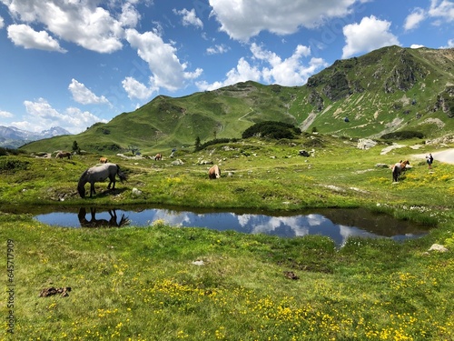 Alpin landscape with horses, Obertauern, Austria