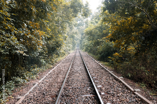 Railway line in the forest. Selective focus on rails. Sylhet, Bangladesh
