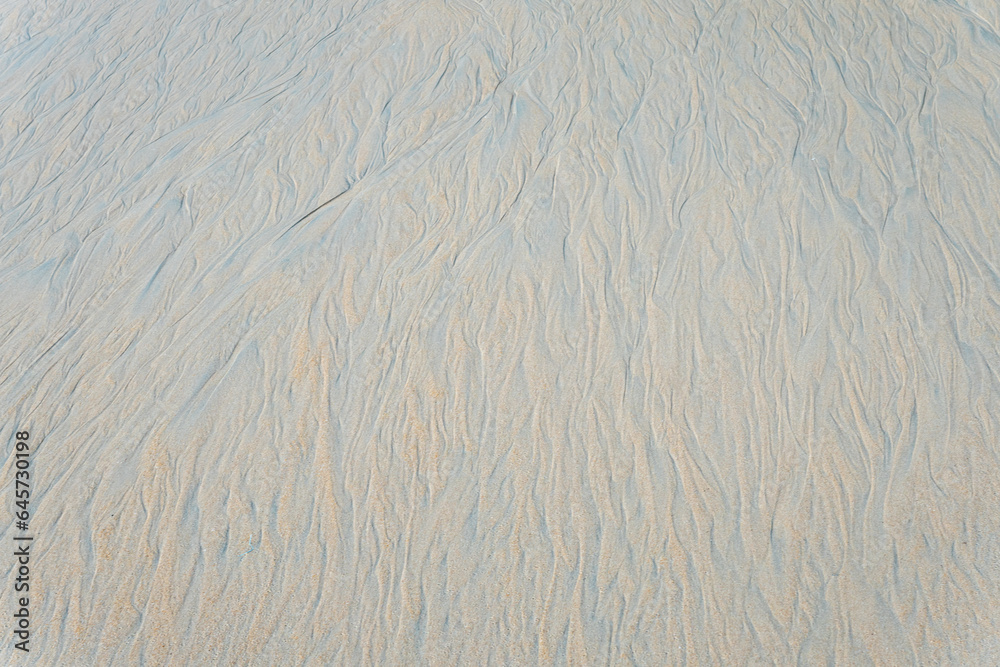 Obraz premium Sand texture Sand beach as a background