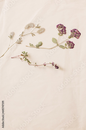 dried flowers on crumpled old paper photo