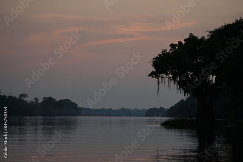 Sunset Amazonas