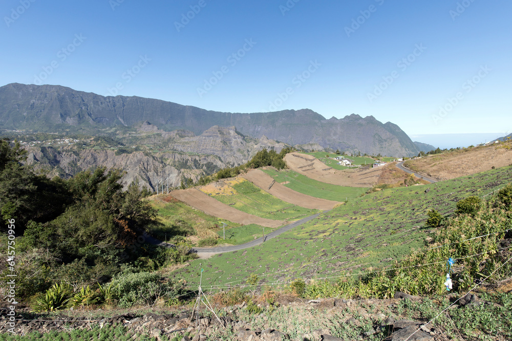 View of cultivated field in La Reunion