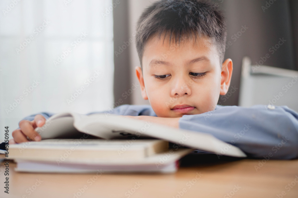 Little Asian boy student reading the books for learning. Educational concept Social distancing, staying at home, presenting a modern educational way of life. Little Asian boy student reading the books for learning. Educational concept Social distancing, staying at home, presenting a modern educational way of life.