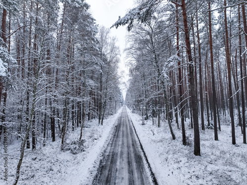 Snowy forest and asphalt road in winter, Poland