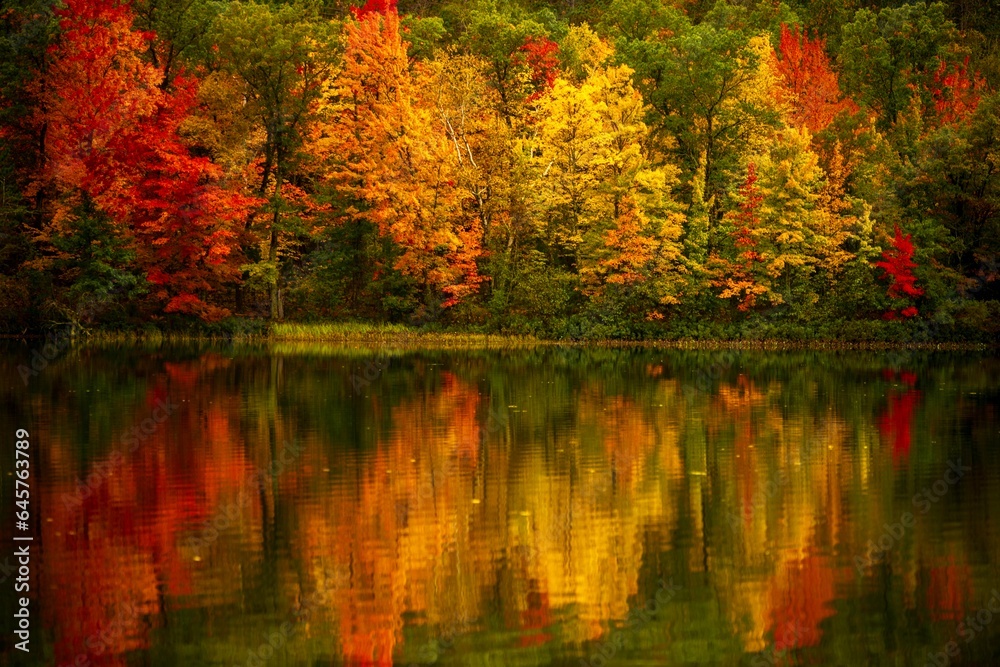 Colorful foliage tree reflections in calm lake water on a beautiful autumn day in Wisconsin