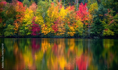 Colorful foliage tree reflections in calm lake water on a beautiful autumn day in Wisconsin