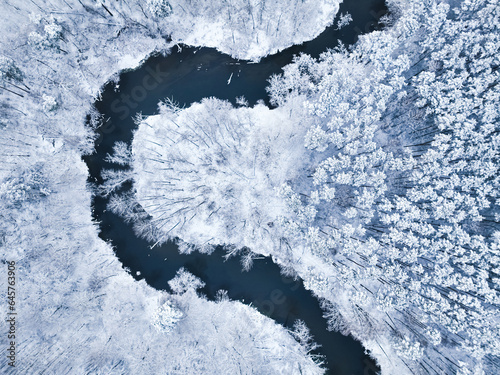 Aerial view of river and snow-covered forest in winter.