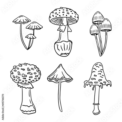 Set of doodle hand drawn poisonous wild mushrooms. Sketch hand drawn design for Halloween for coloring pages, stickers, tatoo. Black outline fungus simple drawn on white background