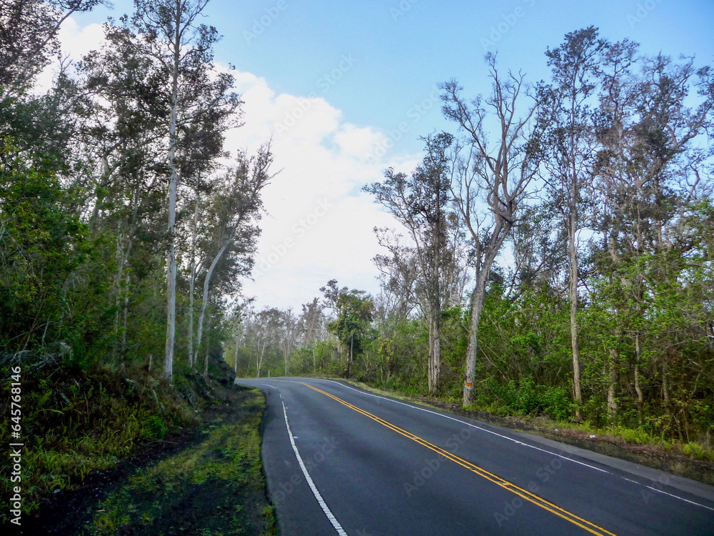 panoramic view of landscape along highway 11 on Big Island