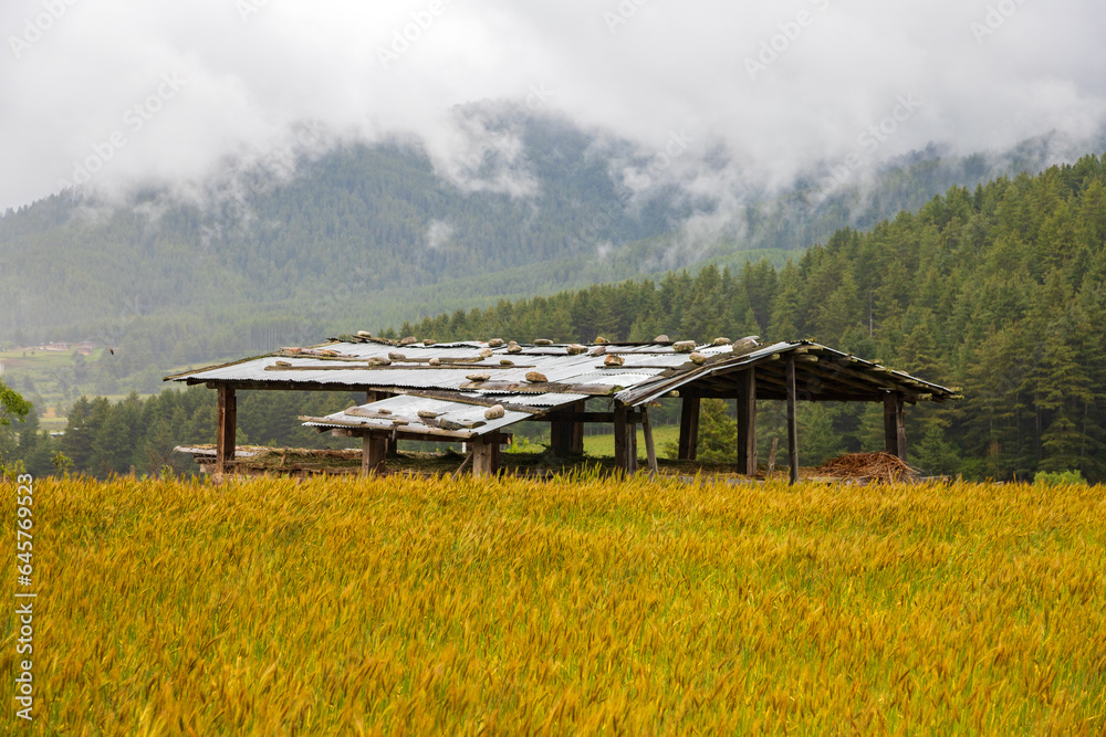 Barn in a field with scenic mountains in the background in Bhutan. View of cowshed in a field in Asia. Barn in a field with scenic mountains in the background in Bhutan. View of cowshed in a field in Asia.