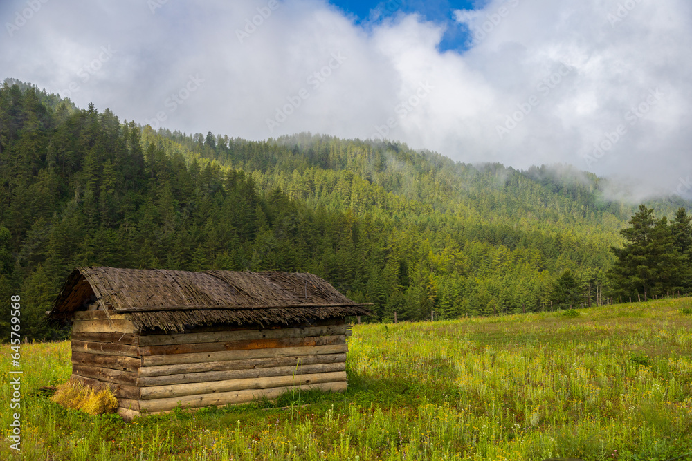 Barn in a field with scenic mountains in the background in Bhutan. View of cowshed in a field in Asia. Barn in a field with scenic mountains in the background in Bhutan. View of cowshed in a field in Asia.