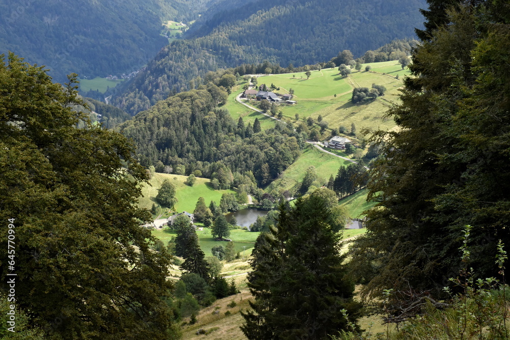 Grüne Landschaft auf dem Schauinsland bei Freiburg