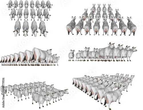 Vector sketch illustration design of a herd of wild cows marching