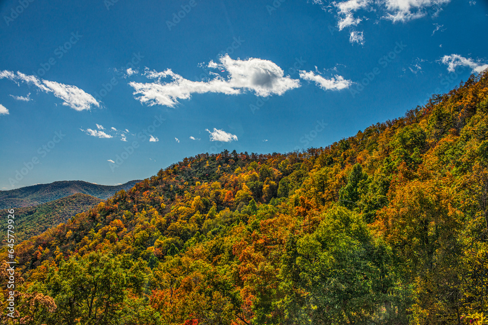Fall Foliage on a Georgia Hillside