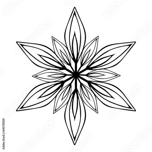 hand drawn doodle snowflake flower, element on a white background