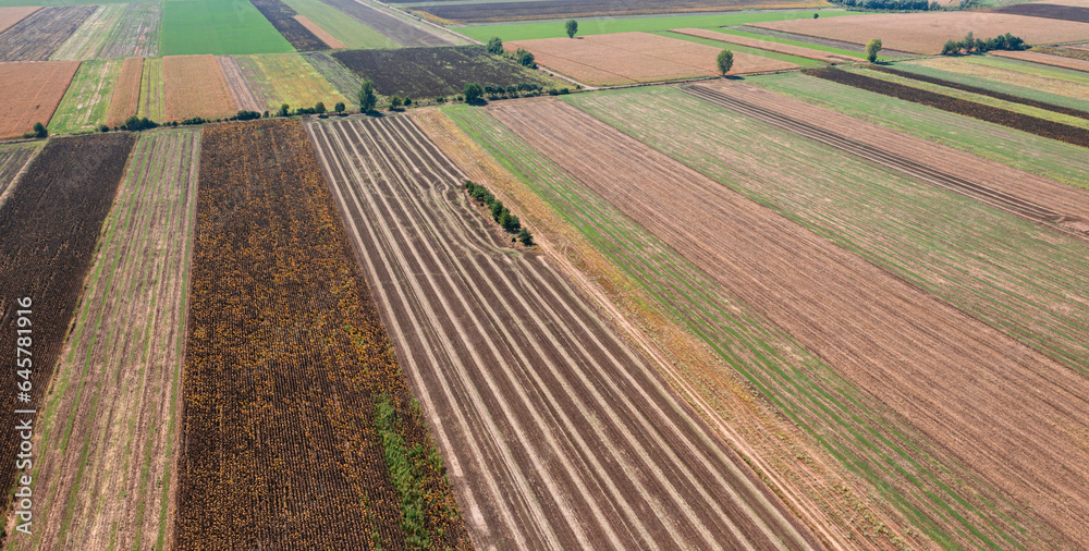 Scenic rows late summer early autumn countryside farms in sunny day. Aerial photography, top view drone shot. Agricultural industry fields landscape geometry texture. Seasonal drone view, food ecology