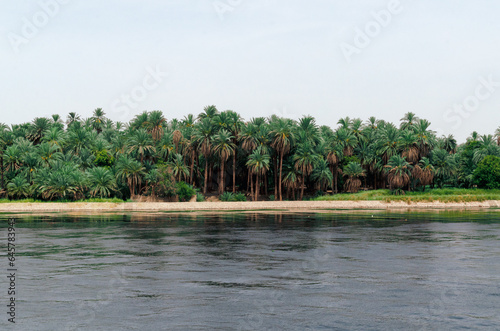 View from the Nile river in Egypt (ID: 645783943)