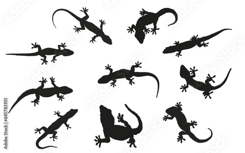 set of silhouettes of house gecko  house lizard silhouettes