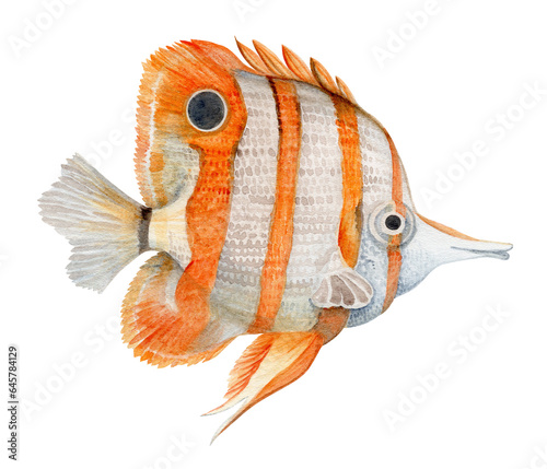 Yellow helmon fish Watercolor drawing of sea creatures isolated Realistic botanical illustrations collection Hand painted