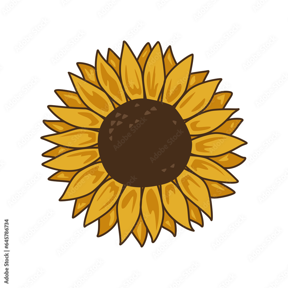 isolated hand drawn flowers colorful isolated hand drawn flowers colorful