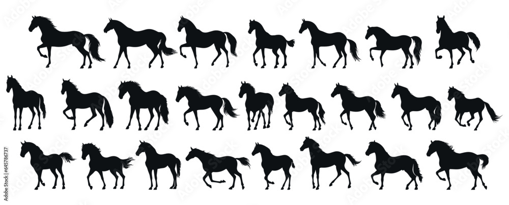 set of silhouettes of horse. horses standing. isolated on transparent background. eps 10