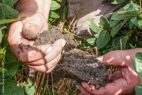 Heathy soil from regenerative agriculture field photo