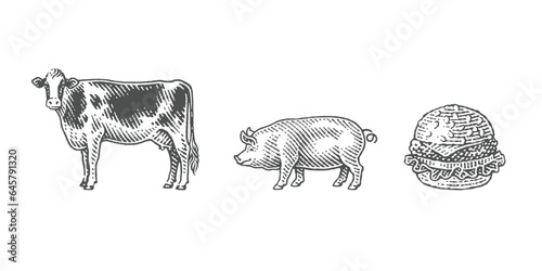 Pig, cow and cheeseburger. Fast food. Hamburger. Hand drawn engraving style illustrations.