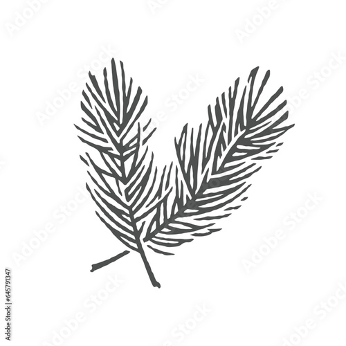 Sprig of spruce. Christmas decoration. Hand drawn engraving style illustrations.