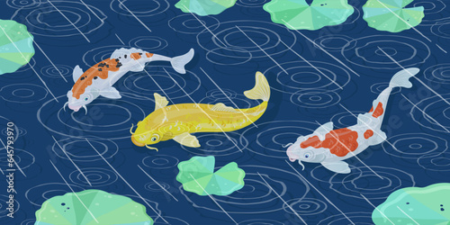 Three colorful Japanese koi carp swim in the rain. Circles on the water. On a dark blue background. Vector illustration.