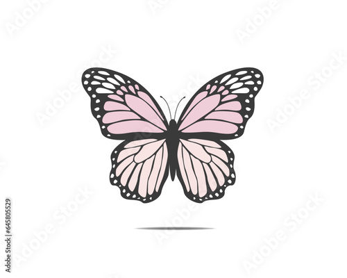 butterfly on white background