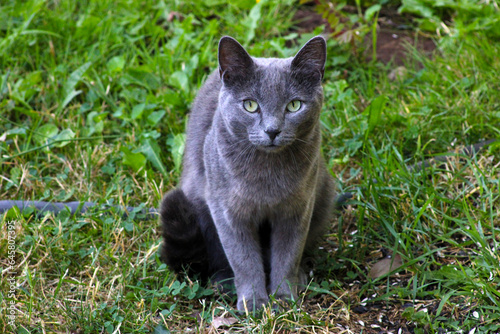Fotografie Gandalf the Grey 02