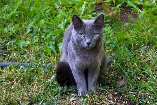 Fotografie Gandalf the Grey 04