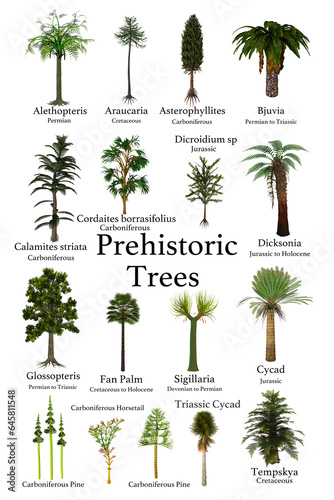Prehistoric Trees - A collection of trees and cycads that lived during prehistoric periods of Earth's history.