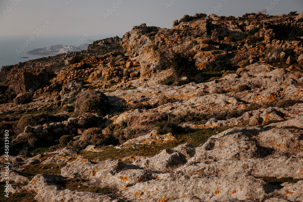 a treeless plateau covered with wild fennel on top of a mountain against the sky and sea