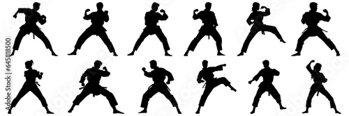 Kung fu karate taekwondo silhouettes set, large pack of vector silhouette design, isolated white background © FutureFFX