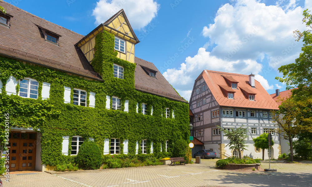 House overgrown with climbing plants in German town, Europe