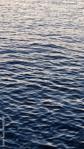 A majestic bird soars gracefully over the sparkling blue water, its wings spread wide..