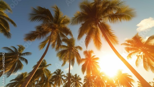 Coconut palm trees on a tropical beach at sunset. Toned
