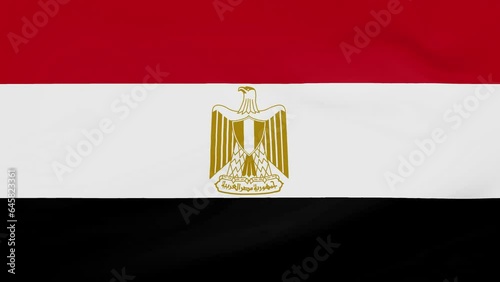 Egypt flag waving in wind