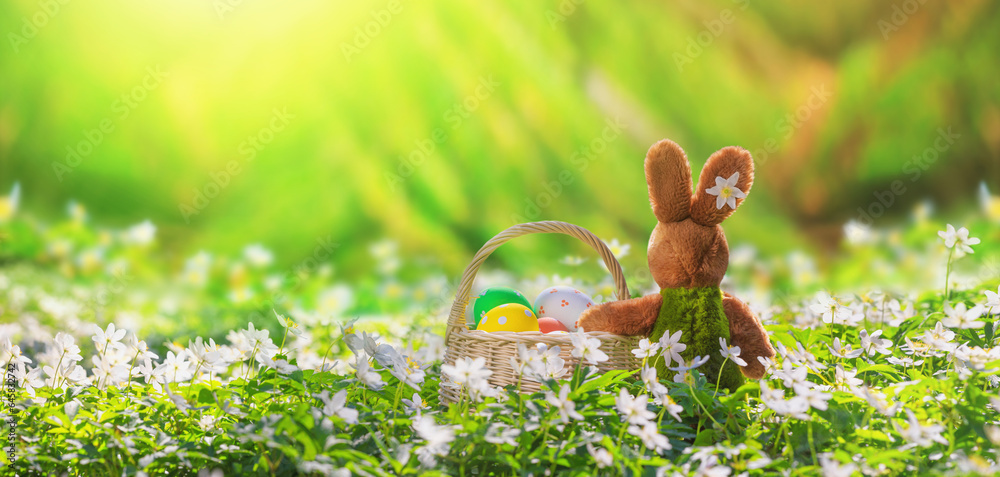 Easter greeting card with copy space for text, banner - back view of a plush toy bunny with a basket full of Easter eggs in the spring forest