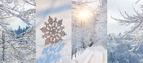 Set of beautiful photos of nature in the winter, banner. Collage of four images of fragments of nature and holiday decoration