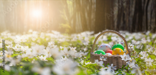Basket with Easter eggs in forest - season greeting card and background horizontal banner with copy space for text
