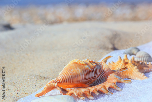 View of a beach with seashells and towel on the sand under the hot summer sun, selective focus. Concept of sandy beach holiday, background with copy space for text