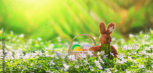 Obraz na płótnie Easter greeting card with copy space for text, banner - back view of a plush toy bunny with a basket full of Easter eggs in the spring forest w salonie