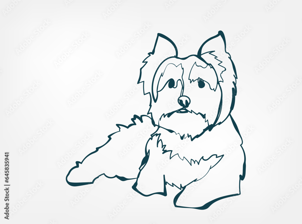 YORKIES dog breed animal vector line art one line sketch outline YORKIES dog breed animal vector line art one line sketch outline