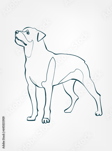 Rottweiler dog breed animal vector line art one line sketch outline
