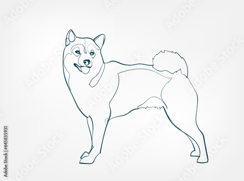 Shiba Inu dog breed animal vector line art one line sketch outline