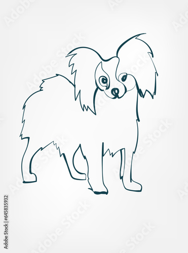 small continental spaniel dog breed animal vector line art one line sketch outline