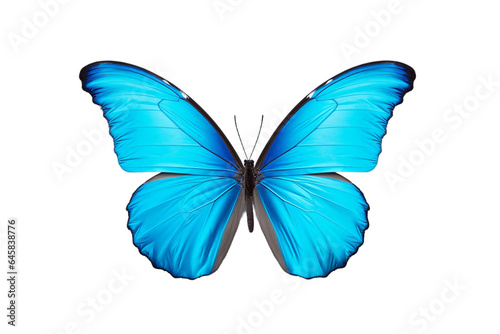 Satin Azure Butterfly Isolated on Transparent Background. Generative AI.